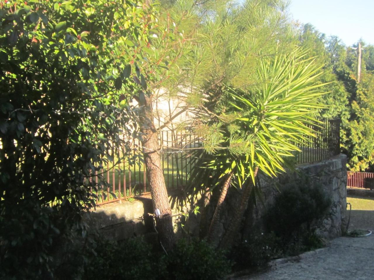 Moradia Integrada T0 Em Rural 4.* Agroturismo